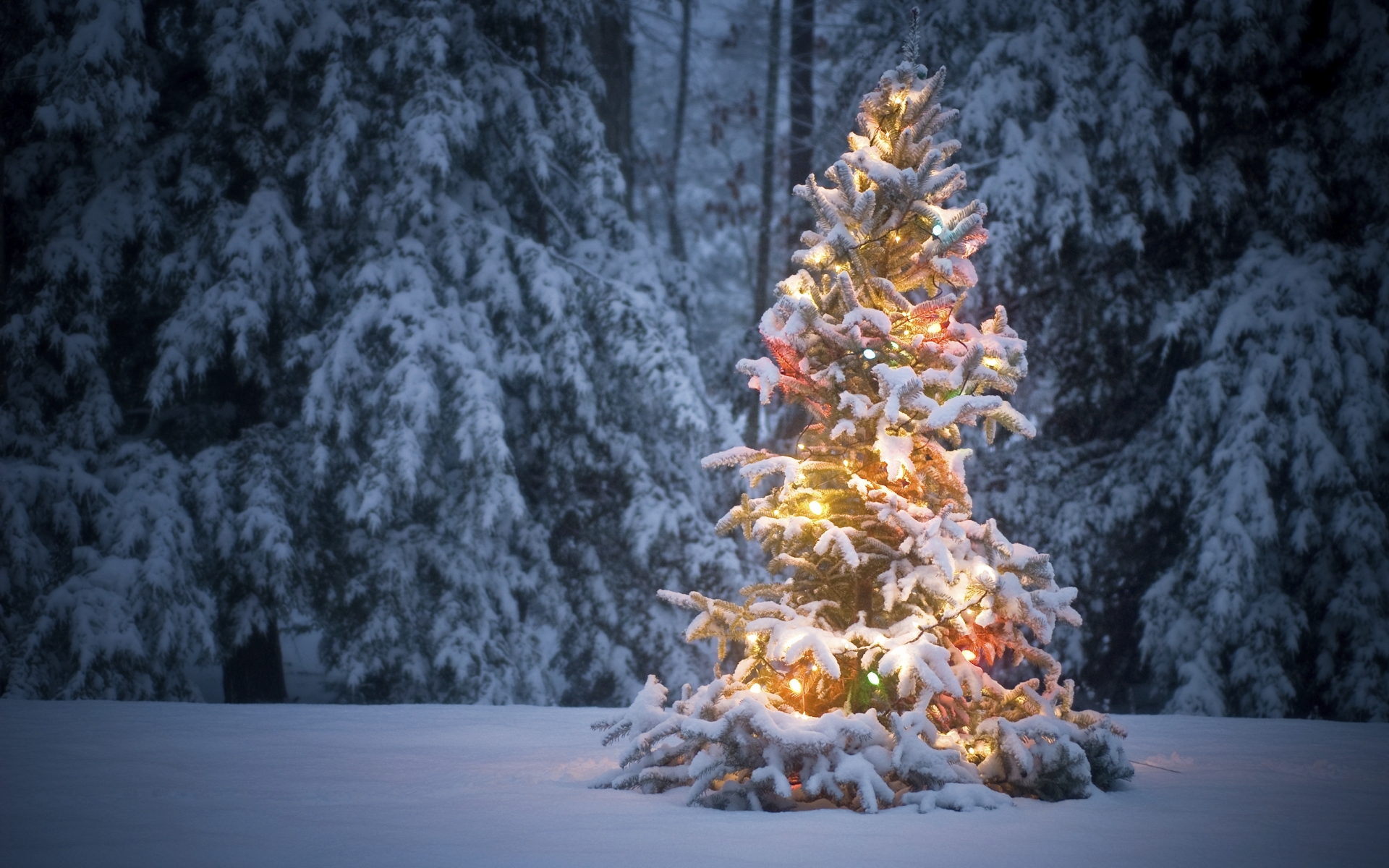 Christmas 1