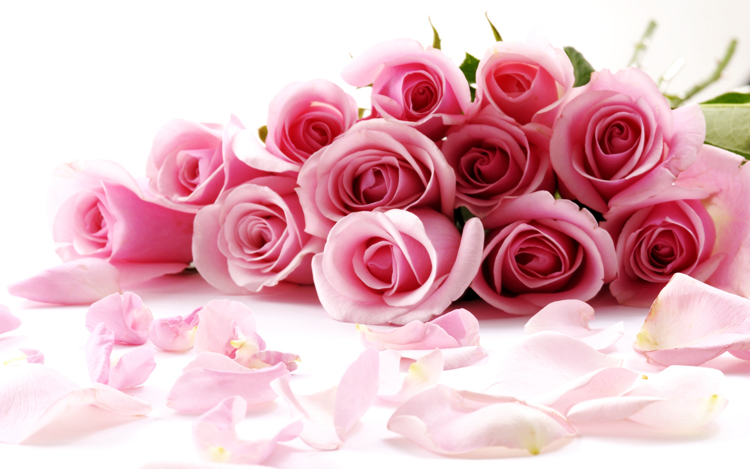 Roses 2