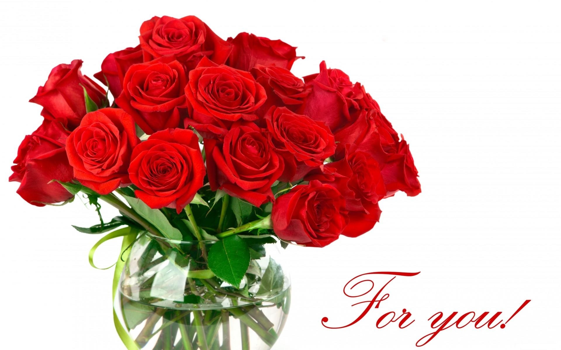 Roses 5