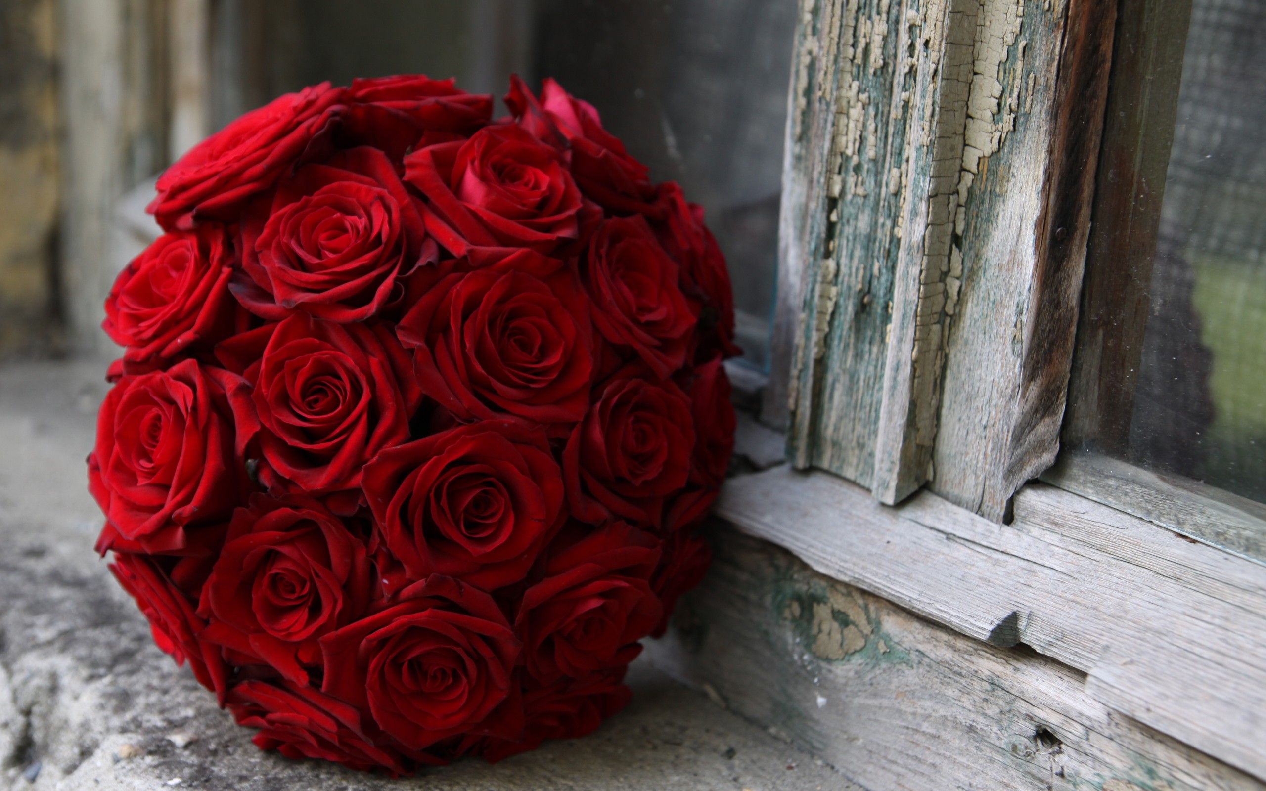 Roses 8