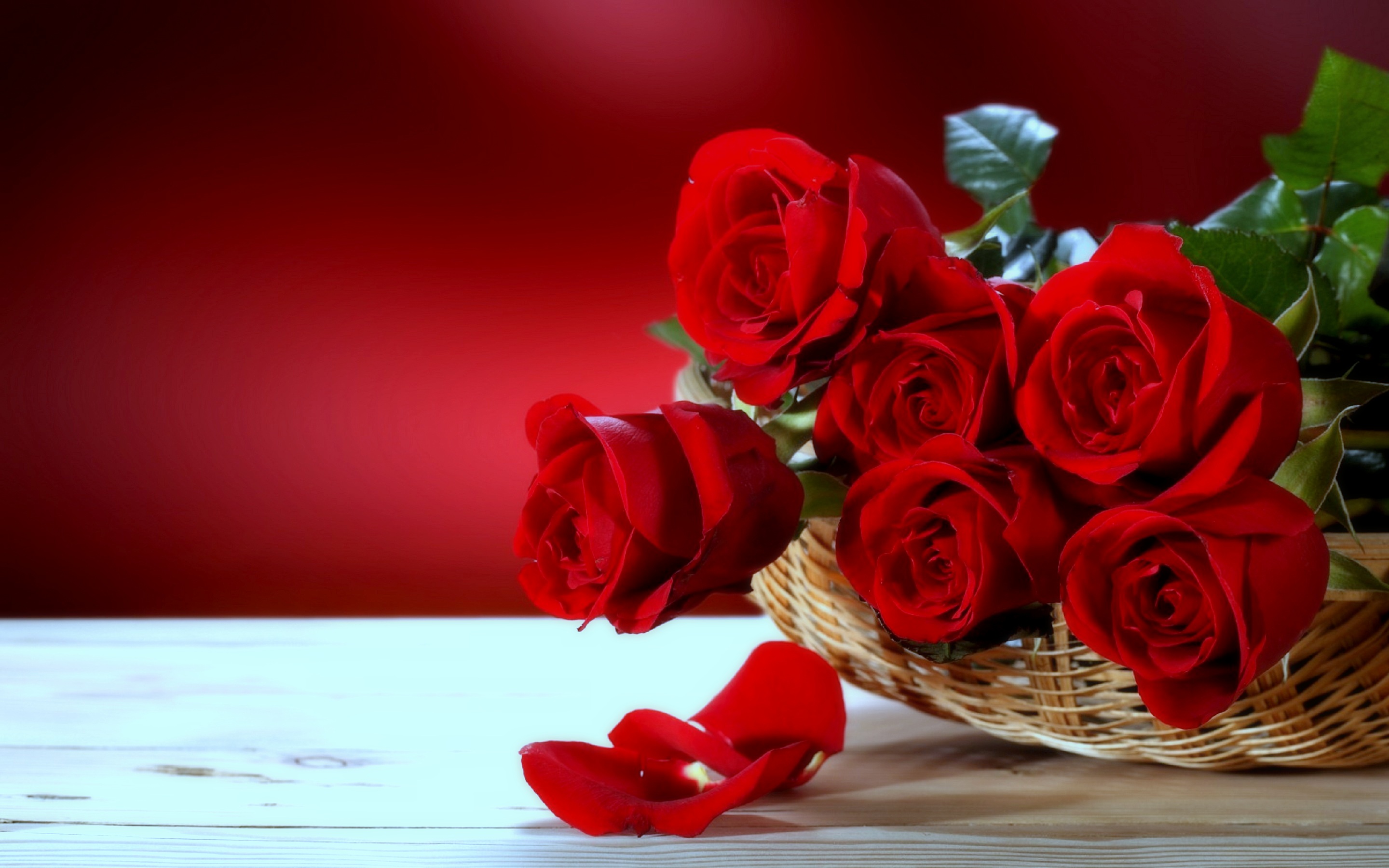 Roses 9